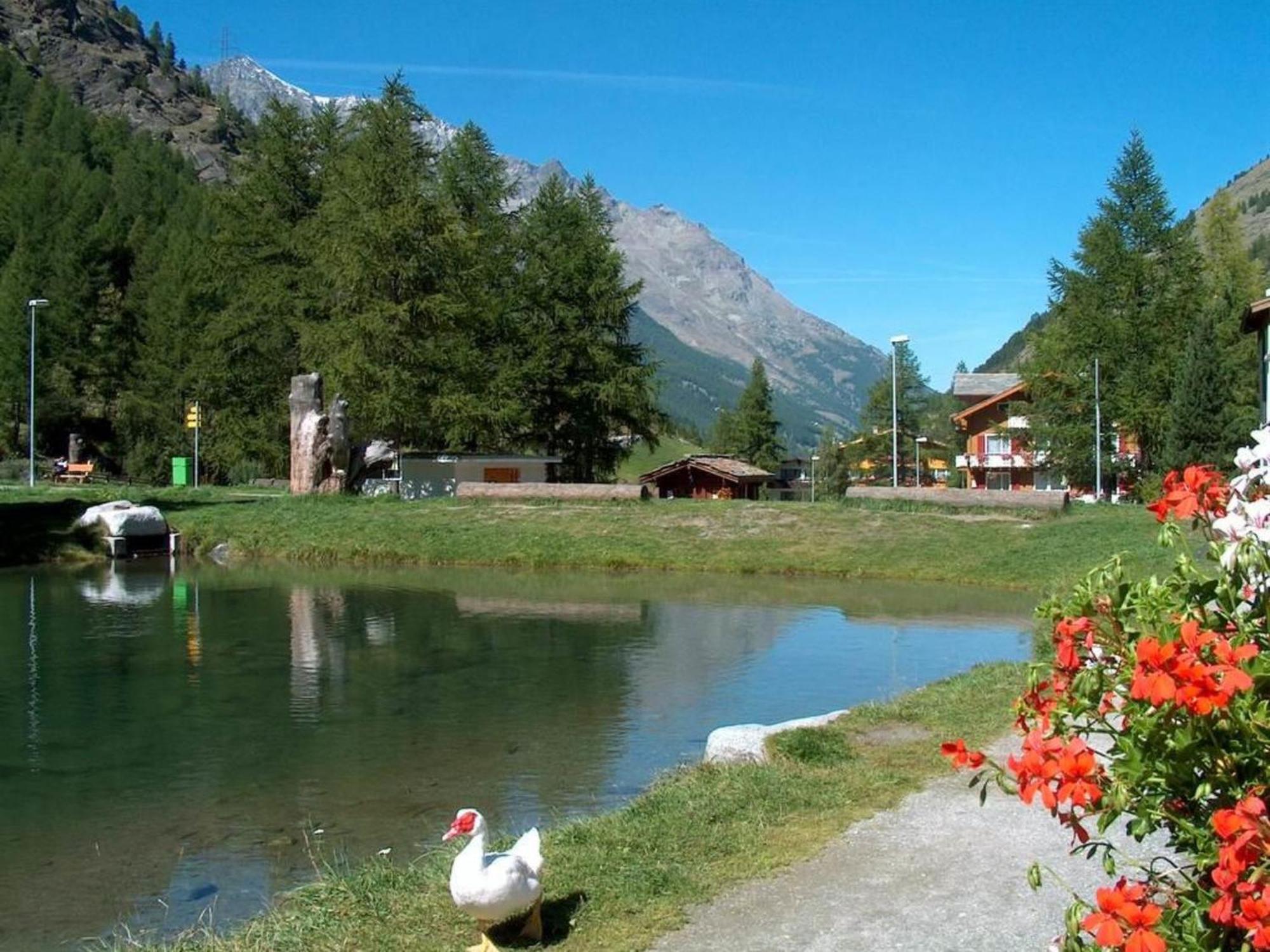 Apartment Haus Alpenrose By Interhome Saas-Almagell Esterno foto